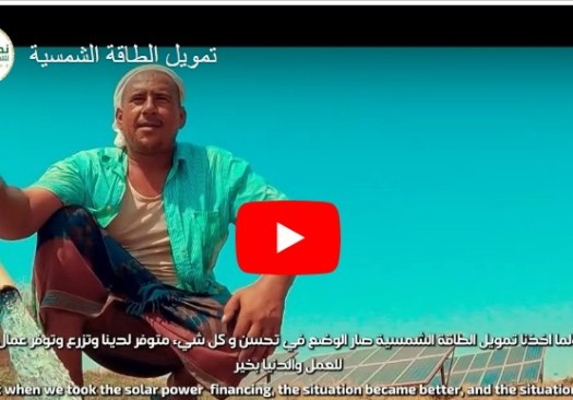 البديل الأفضل